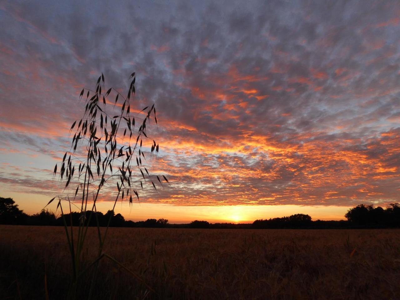 Mollett'S Farm Διαμέρισμα Saxmundham Εξωτερικό φωτογραφία