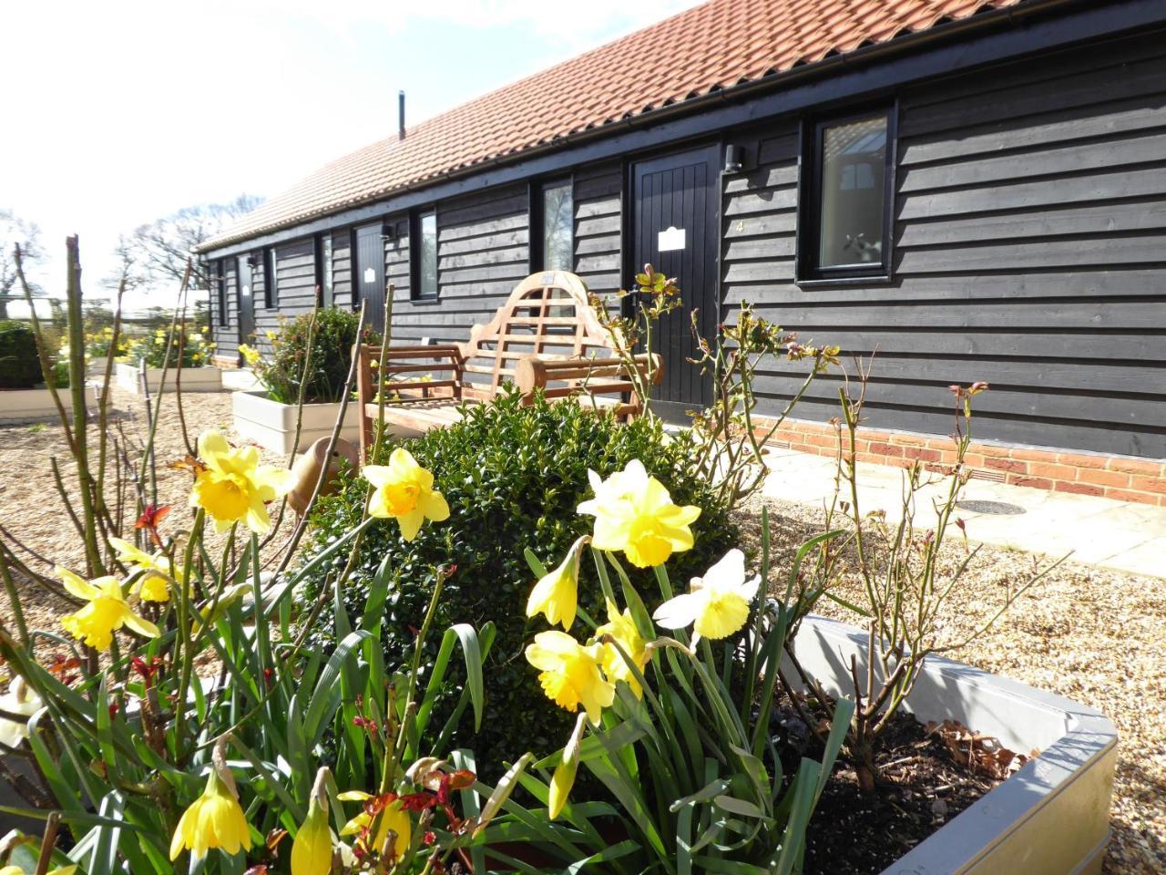 Mollett'S Farm Διαμέρισμα Saxmundham Εξωτερικό φωτογραφία